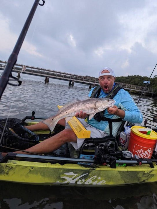 What Fish Are Biting in St. Petersburg, Florida right now? - salt-yak-fishing-charters