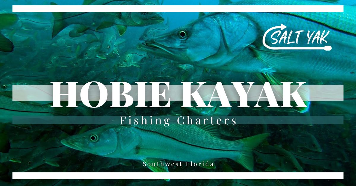 Hobie Kayak Fishing Guide in Southwest Florida – salt-yak-fishing-charters