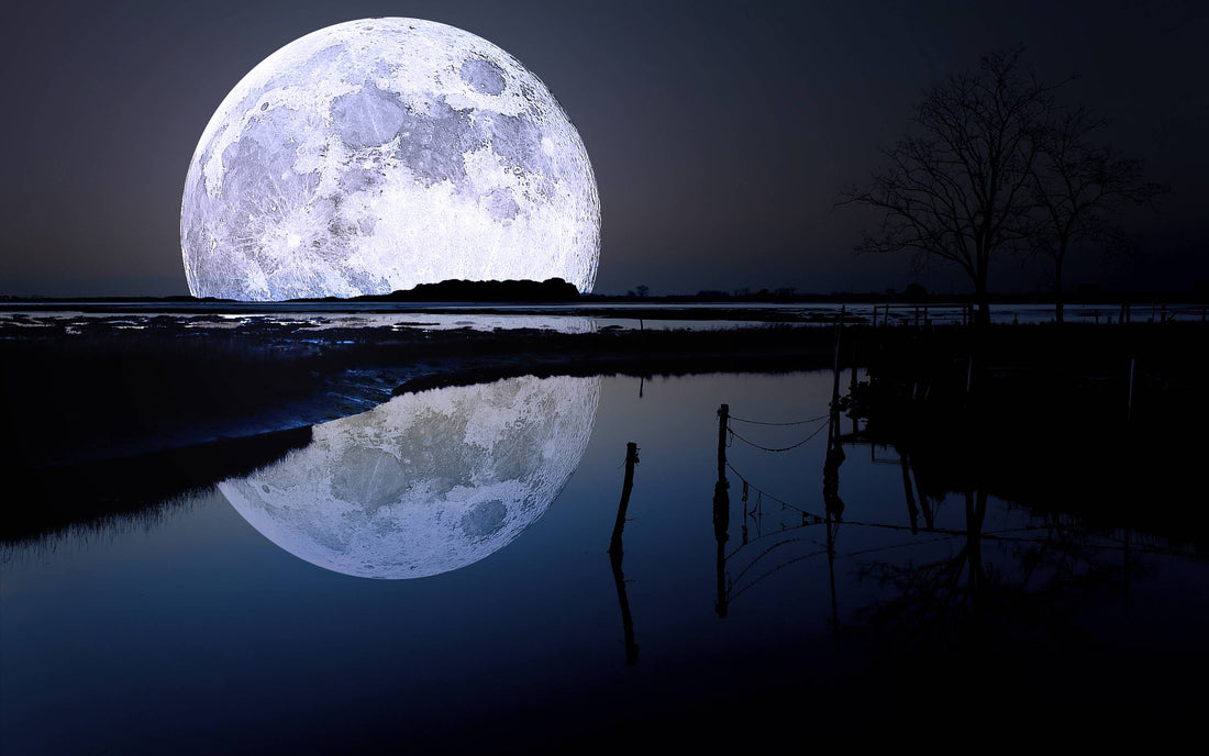 The Moon's Influence: Debunking the Myth of Catching Fish during a Full Moon