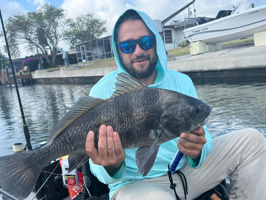 Can you Eat Black Drum?