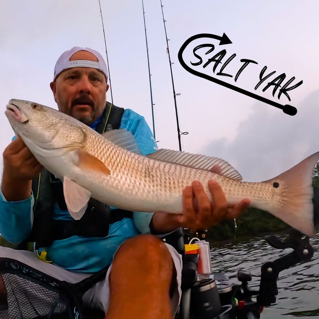 How to Catch Redfish in the Mangroves.