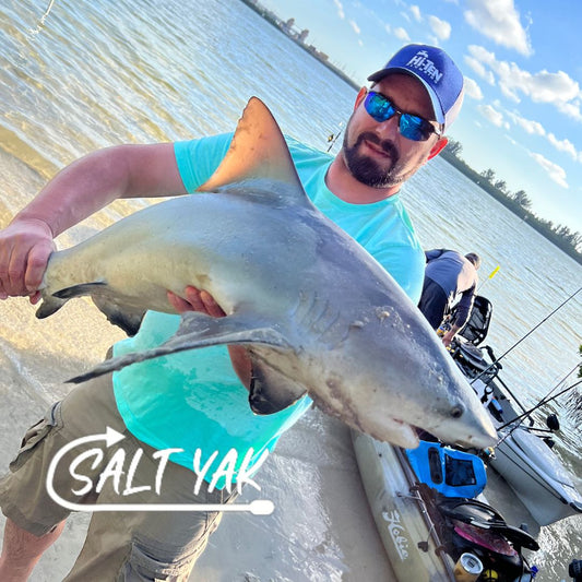 Using Ladyfish to Catch Sharks. - salt-yak-fishing-charters