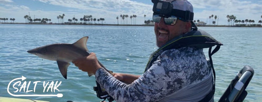 Want to catch a Blacktip Shark in a Kayak? Here's what you should know. - salt-yak-fishing-charters