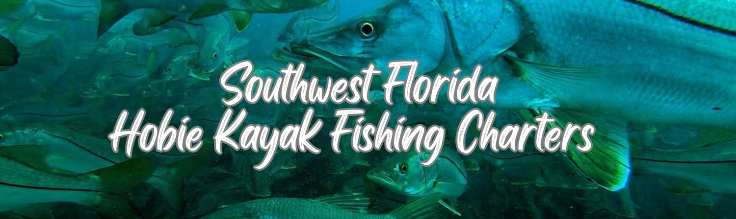Guide to Florida Salt Water Fishing (Guide to Florida Wildlife and